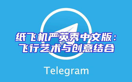 纸飞机严英秀中文版：飞行艺术与创意结合