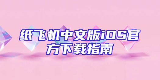 纸飞机中文版iOS官方下载指南