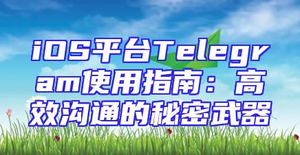 iOS平台Telegram使用指南：高效沟通的秘密武器