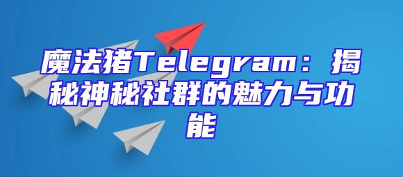 魔法猪Telegram：揭秘神秘社群的魅力与功能