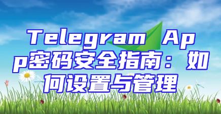 Telegram App密码安全指南：如何设置与管理