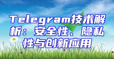 Telegram技术解析：安全性、隐私性与创新应用