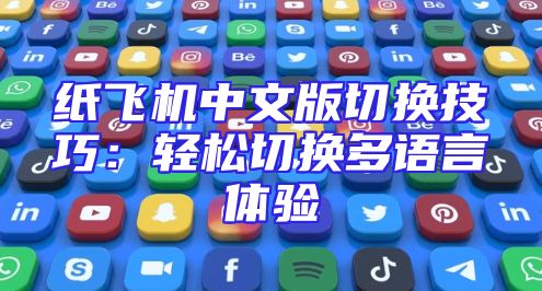 纸飞机中文版切换技巧：轻松切换多语言体验