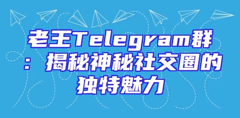 老王Telegram群：揭秘神秘社交圈的独特魅力