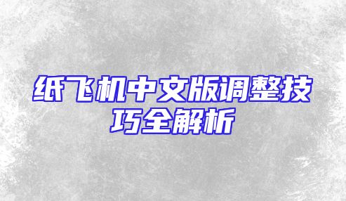 纸飞机中文版调整技巧全解析