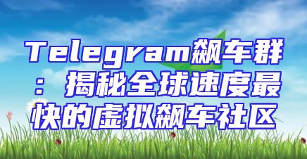 Telegram飙车群：揭秘全球速度最快的虚拟飙车社区