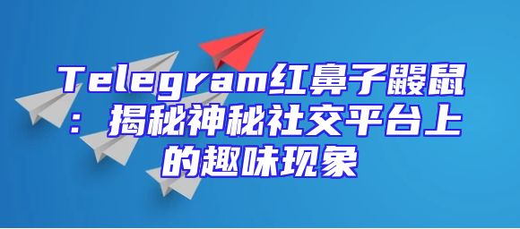 Telegram红鼻子鼹鼠：揭秘神秘社交平台上的趣味现象