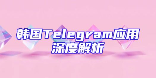韩国Telegram应用深度解析