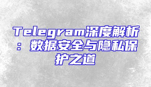 Telegram深度解析：数据安全与隐私保护之道