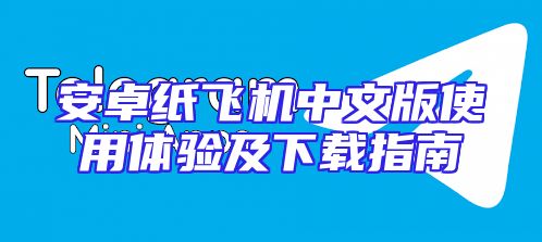 安卓纸飞机中文版使用体验及下载指南