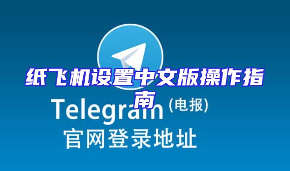 纸飞机设置中文版操作指南