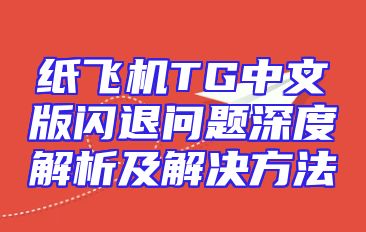 纸飞机TG中文版闪退问题深度解析及解决方法