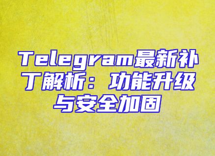 Telegram最新补丁解析：功能升级与安全加固