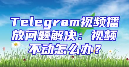 Telegram视频播放问题解决：视频不动怎么办？