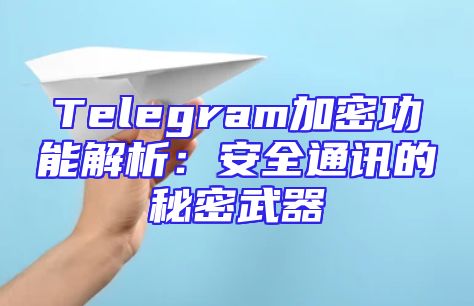 Telegram加密功能解析：安全通讯的秘密武器