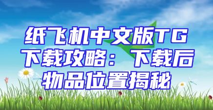 纸飞机中文版TG下载攻略：下载后物品位置揭秘