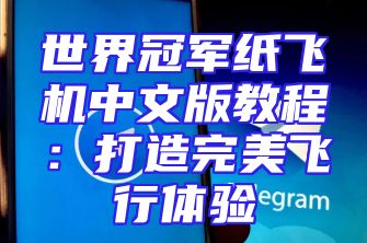 世界冠军纸飞机中文版教程：打造完美飞行体验