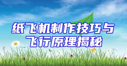 纸飞机制作技巧与飞行原理揭秘