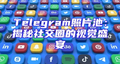 Telegram照片池：揭秘社交圈的视觉盛宴