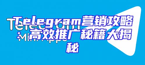 Telegram营销攻略：高效推广秘籍大揭秘