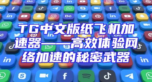 TG中文版纸飞机加速器——高效体验网络加速的秘密武器