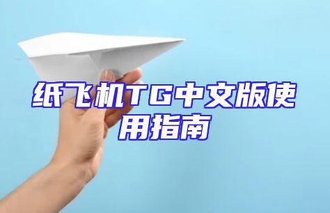 纸飞机TG中文版使用指南