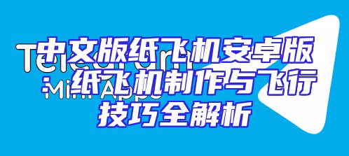 中文版纸飞机安卓版：纸飞机制作与飞行技巧全解析