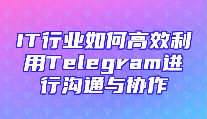 IT行业如何高效利用Telegram进行沟通与协作
