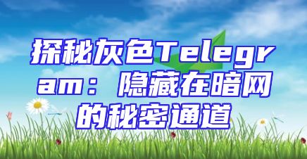探秘灰色Telegram：隐藏在暗网的秘密通道