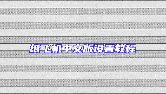 纸飞机中文版设置教程