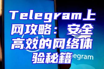 Telegram上网攻略：安全高效的网络体验秘籍