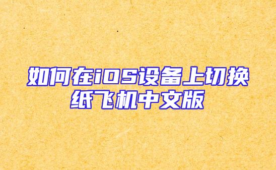 如何在iOS设备上切换纸飞机中文版