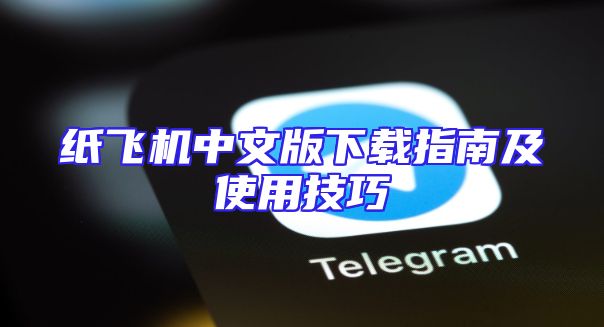 纸飞机中文版下载指南及使用技巧
