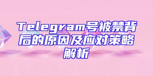 Telegram号被禁背后的原因及应对策略解析