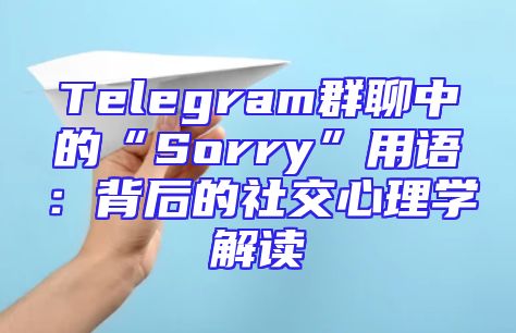 Telegram群聊中的“Sorry”用语：背后的社交心理学解读
