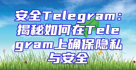 安全Telegram：揭秘如何在Telegram上确保隐私与安全