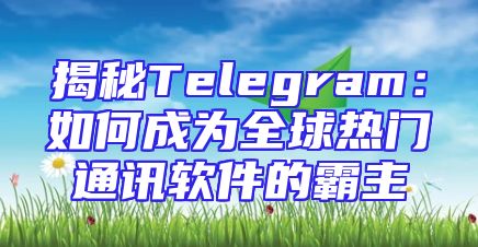 揭秘Telegram：如何成为全球热门通讯软件的霸主