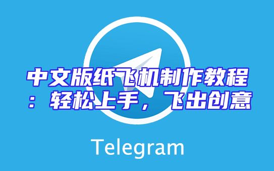 中文版纸飞机制作教程：轻松上手，飞出创意