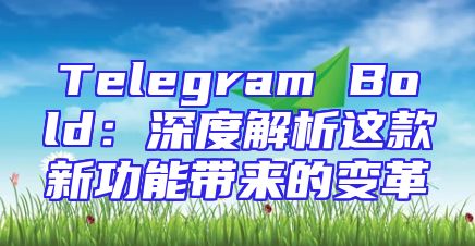 Telegram Bold：深度解析这款新功能带来的变革