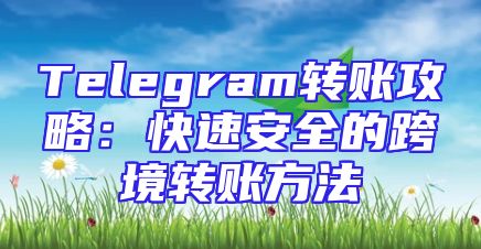 Telegram转账攻略：快速安全的跨境转账方法