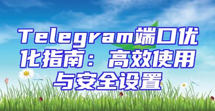 Telegram端口优化指南：高效使用与安全设置