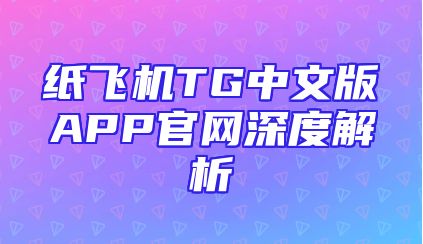 纸飞机TG中文版APP官网深度解析