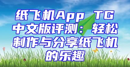 纸飞机App TG中文版评测：轻松制作与分享纸飞机的乐趣
