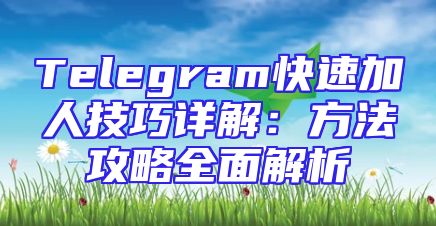 Telegram快速加人技巧详解：方法攻略全面解析