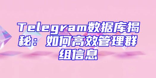 Telegram数据库揭秘：如何高效管理群组信息