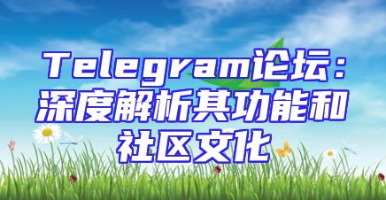 Telegram论坛：深度解析其功能和社区文化