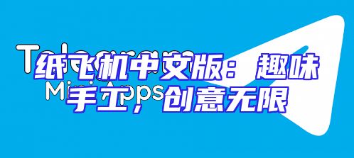 纸飞机中文版：趣味手工，创意无限