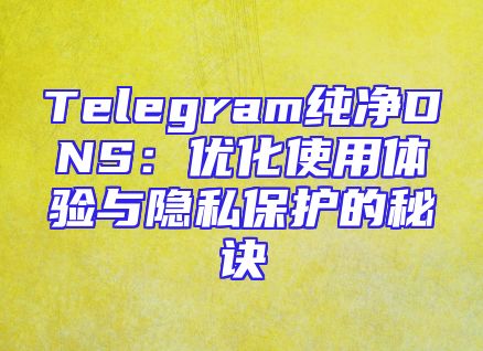 Telegram纯净DNS：优化使用体验与隐私保护的秘诀