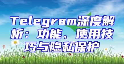Telegram深度解析：功能、使用技巧与隐私保护
