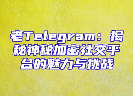 老Telegram：揭秘神秘加密社交平台的魅力与挑战